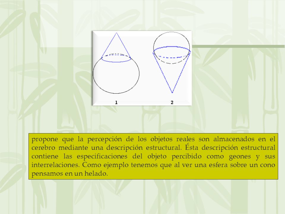propone que la percepción de los objetos reales son almacenados en el cerebro mediante una descripción estructural.