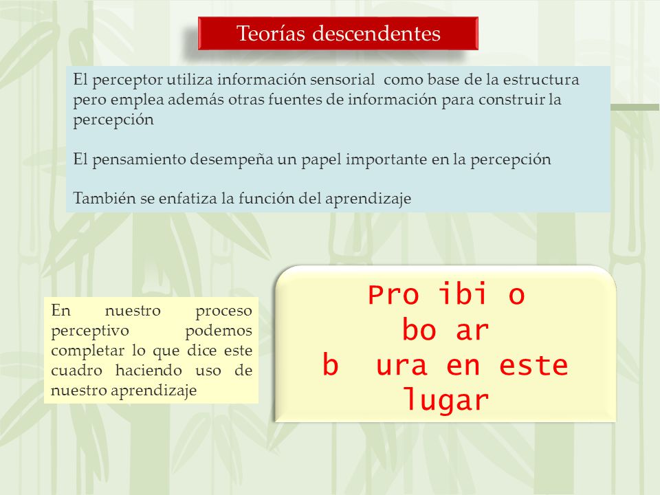 Pro ibi o bo ar b ura en este lugar Teorías descendentes