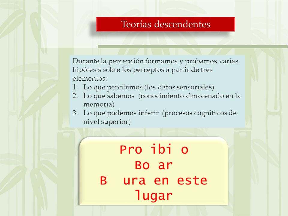 Pro ibi o Bo ar B ura en este lugar Teorías descendentes