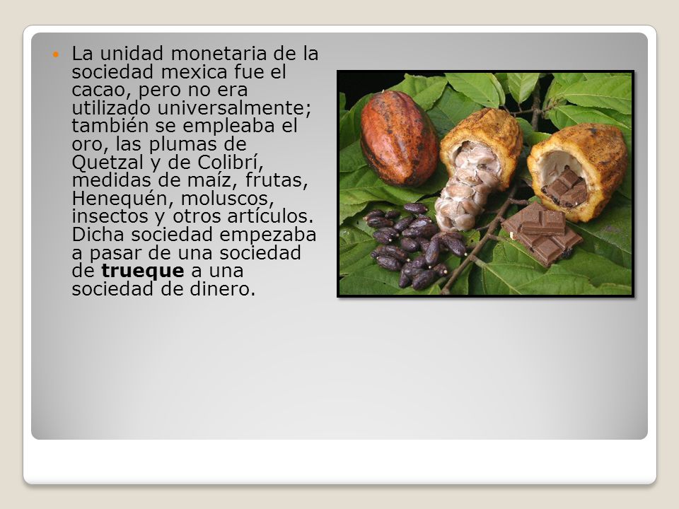 La unidad monetaria de la sociedad mexica fue el cacao, pero no era utilizado universalmente; también se empleaba el oro, las plumas de Quetzal y de Colibrí, medidas de maíz, frutas, Henequén, moluscos, insectos y otros artículos.