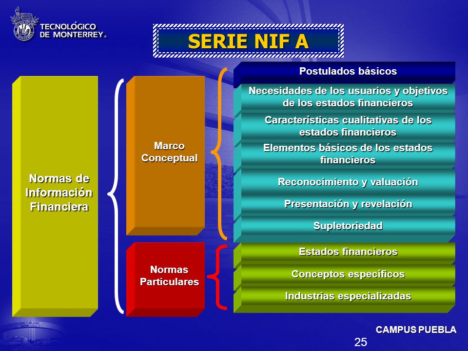 SERIE NIF A Normas de Información Financiera Postulados básicos