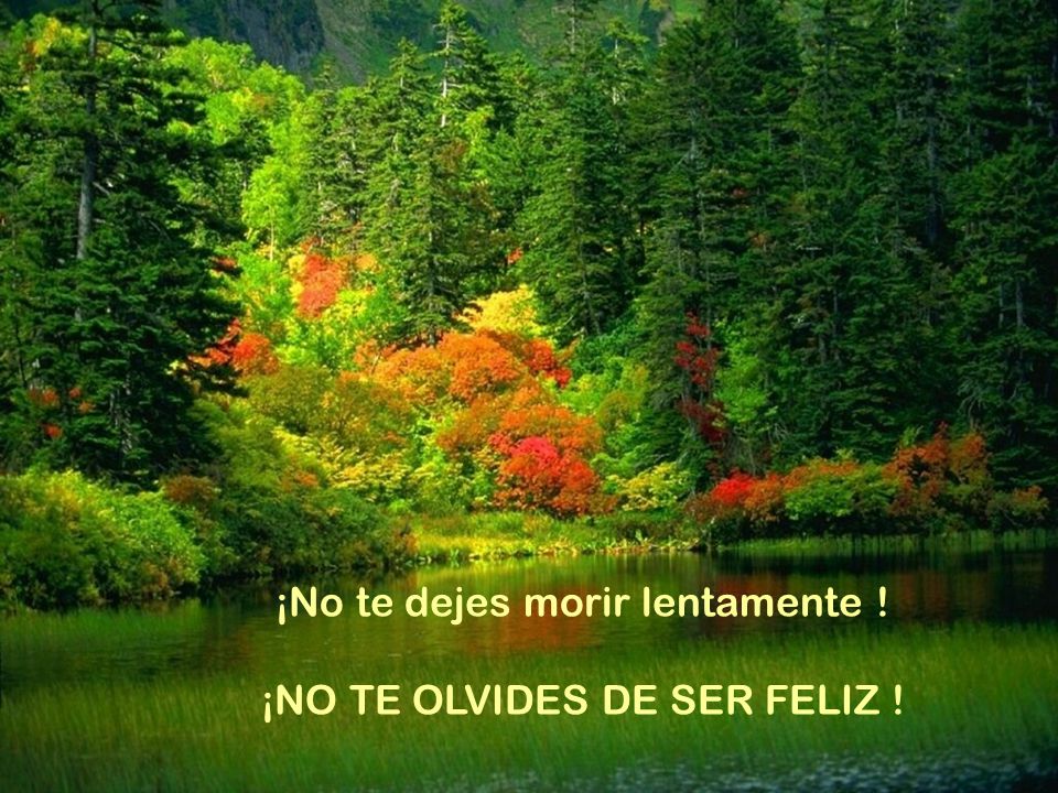 ¡No te dejes morir lentamente ! ¡NO TE OLVIDES DE SER FELIZ !
