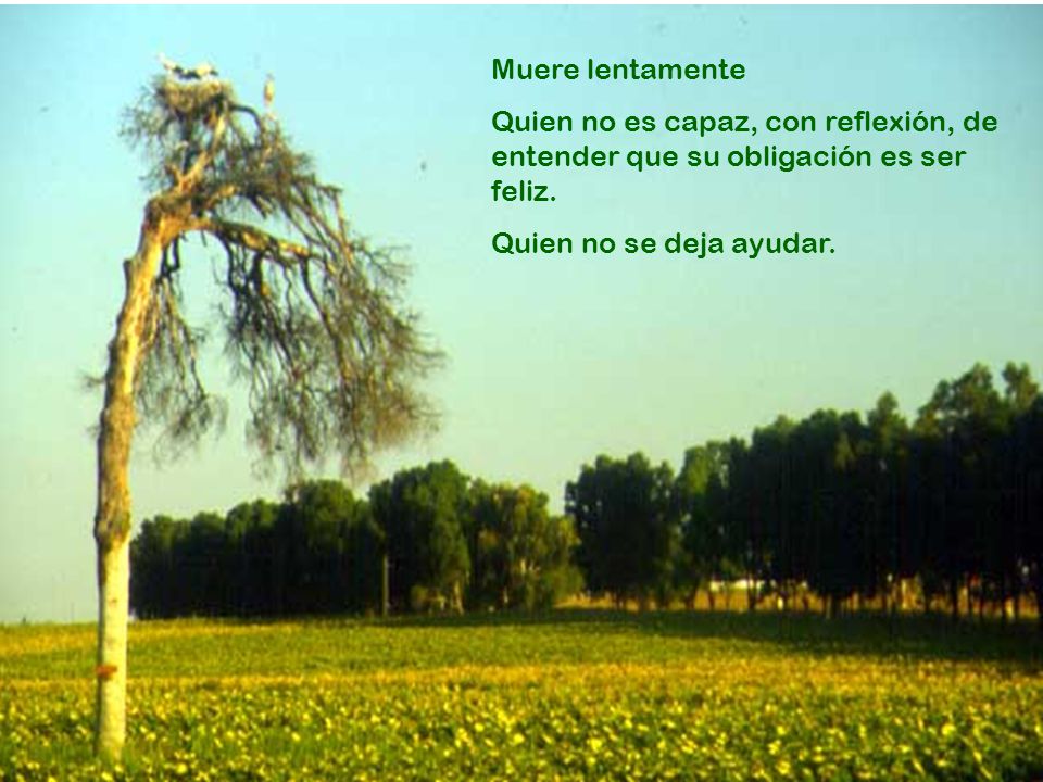 Muere lentamente Quien no es capaz, con reflexión, de entender que su obligación es ser feliz.