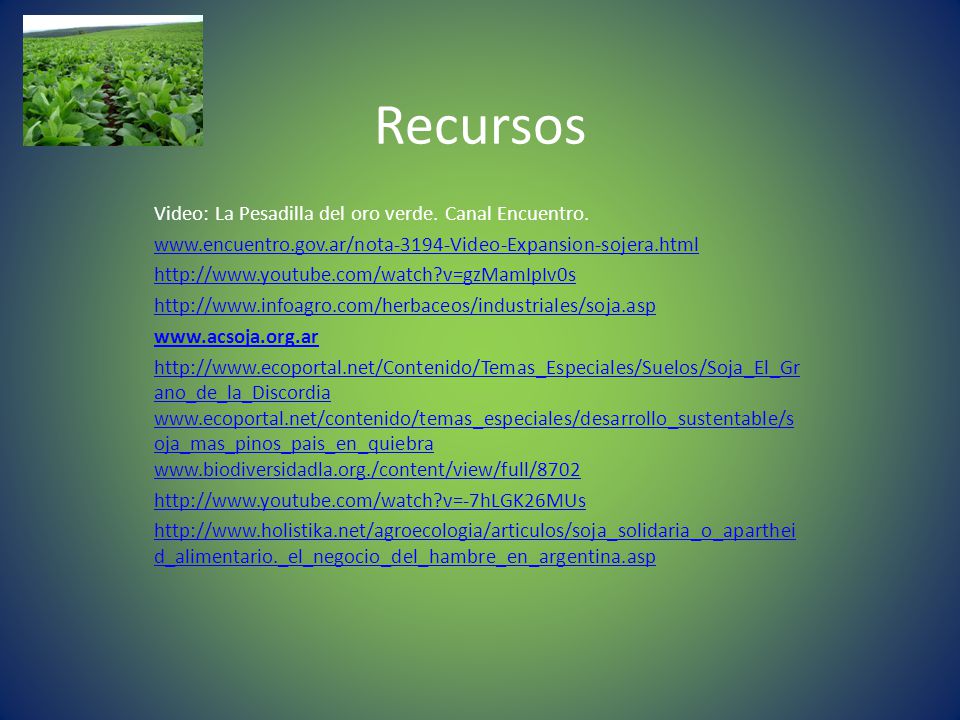 Recursos Video: La Pesadilla del oro verde. Canal Encuentro.