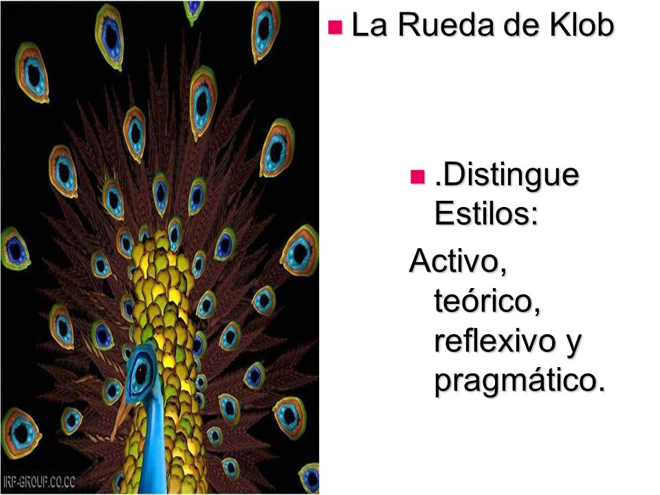 La Rueda de Klob Teorias .Distingue Estilos: Activo, teórico, reflexivo y pragmático.