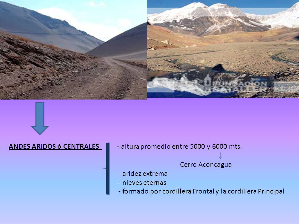 ANDES ARIDOS ó CENTRALES - altura promedio entre 5000 y 6000 mts.