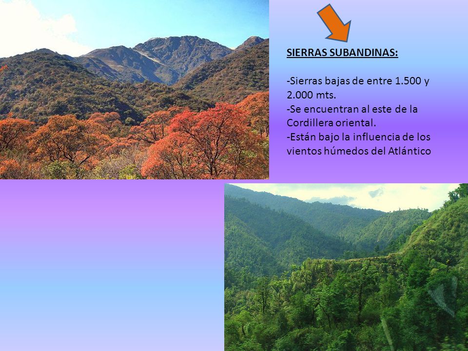 SIERRAS SUBANDINAS: Sierras bajas de entre y mts. Se encuentran al este de la Cordillera oriental.