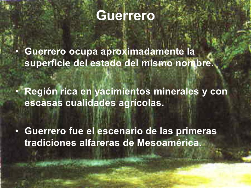 Guerrero Guerrero ocupa aproximadamente la superficie del estado del mismo nombre.
