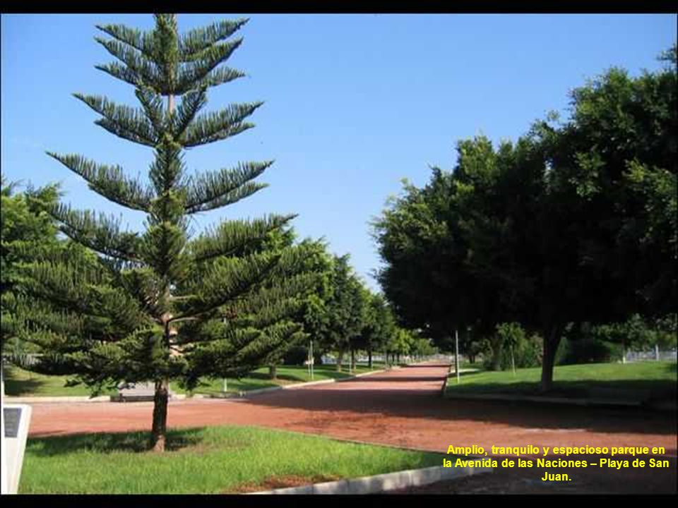 Amplio, tranquilo y espacioso parque en la Avenida de las Naciones – Playa de San Juan.