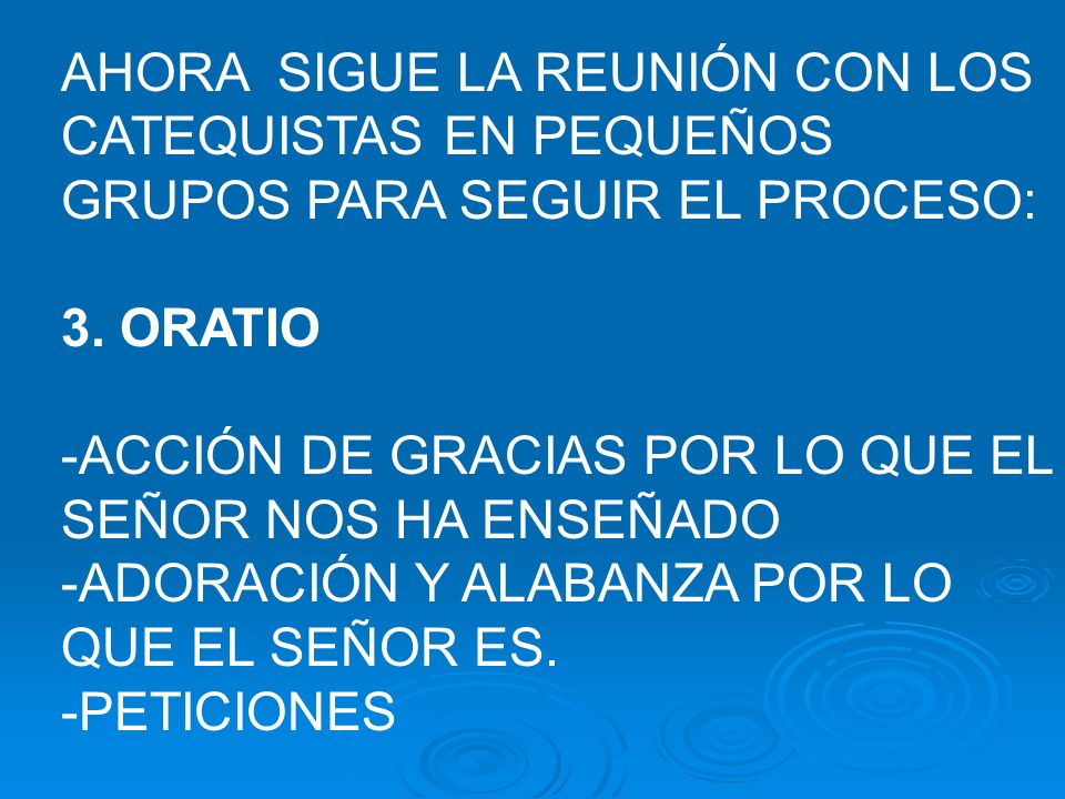 AHORA SIGUE LA REUNIÓN CON LOS CATEQUISTAS EN PEQUEÑOS GRUPOS PARA SEGUIR EL PROCESO: