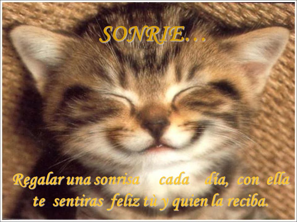 SONRIE… Regalar una sonrisa cada día, con ella te sentiras feliz tù y quien la reciba.