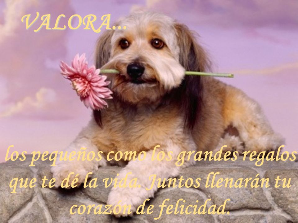 VALORA... los pequeños como los grandes regalos que te dé la vida.