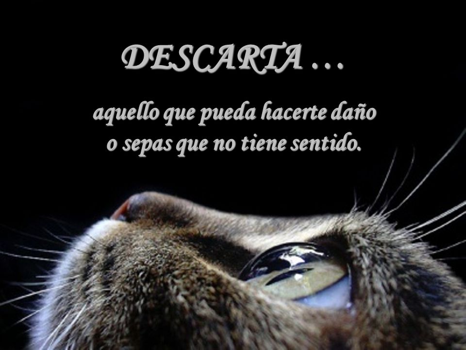 aquello que pueda hacerte daño o sepas que no tiene sentido.
