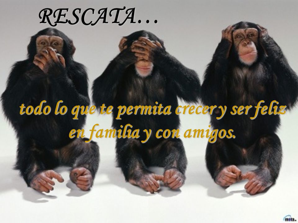 todo lo que te permita crecer y ser feliz en familia y con amigos.