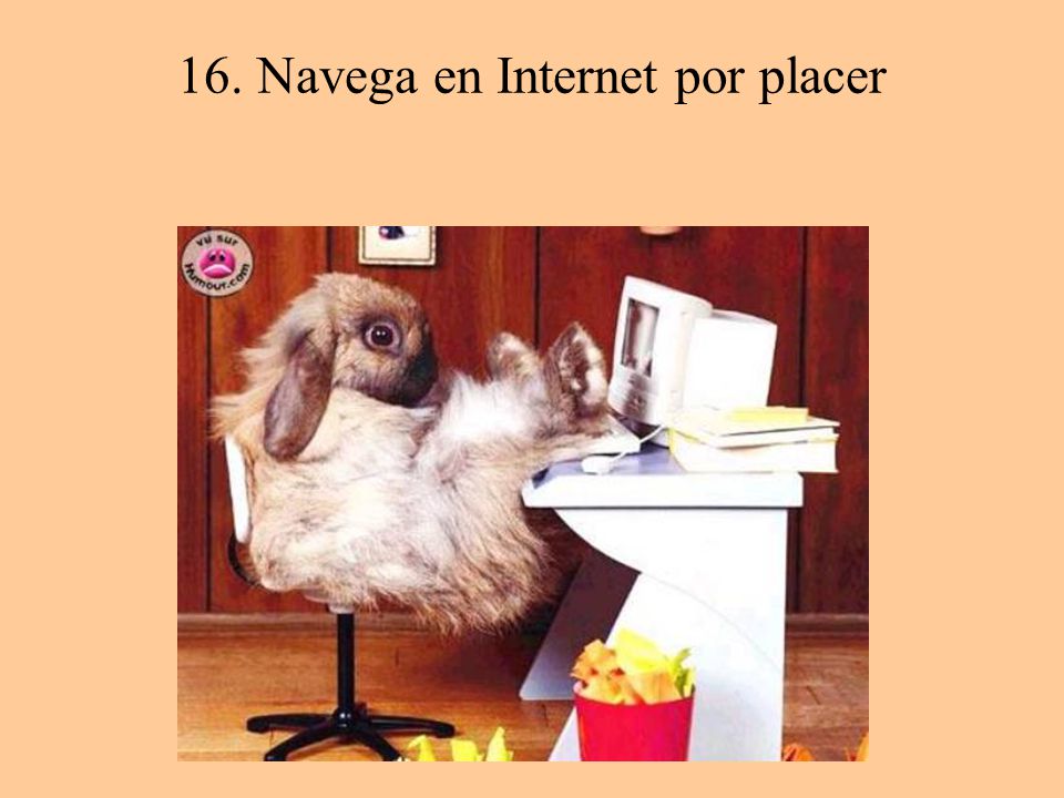 16. Navega en Internet por placer