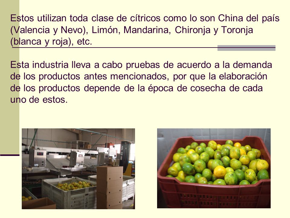 Estos utilizan toda clase de cítricos como lo son China del país (Valencia y Nevo), Limón, Mandarina, Chironja y Toronja (blanca y roja), etc.