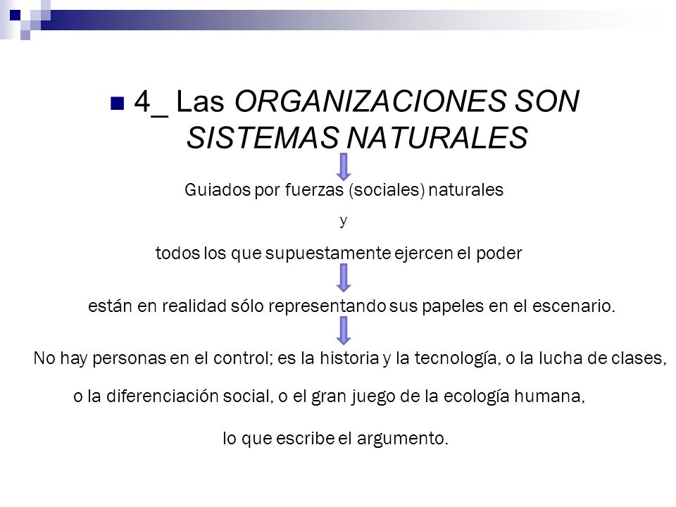 4_ Las ORGANIZACIONES SON SISTEMAS NATURALES