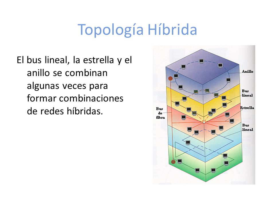 Topología Híbrida El bus lineal, la estrella y el anillo se combinan algunas veces para formar combinaciones de redes híbridas.