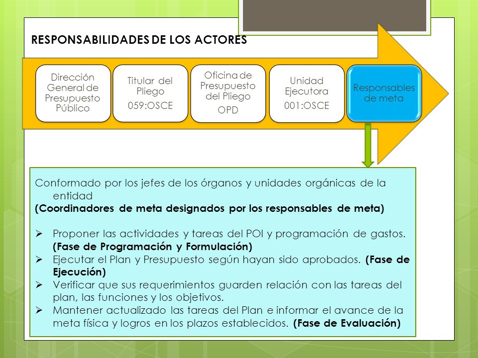 RESPONSABILIDADES DE LOS ACTORES