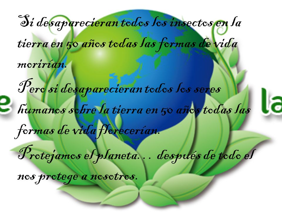 Si desaparecieran todos los insectos en la tierra en 50 años todas las formas de vida morirían.