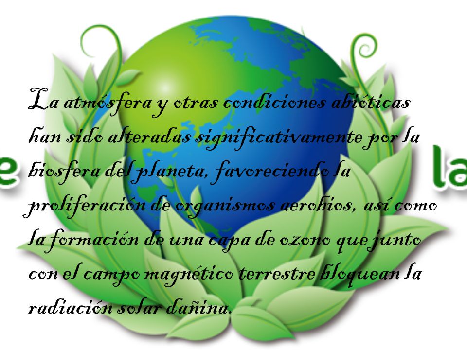 La atmósfera y otras condiciones abióticas han sido alteradas significativamente por la biosfera del planeta, favoreciendo la proliferación de organismos aerobios, así como la formación de una capa de ozono que junto con el campo magnético terrestre bloquean la radiación solar dañina.