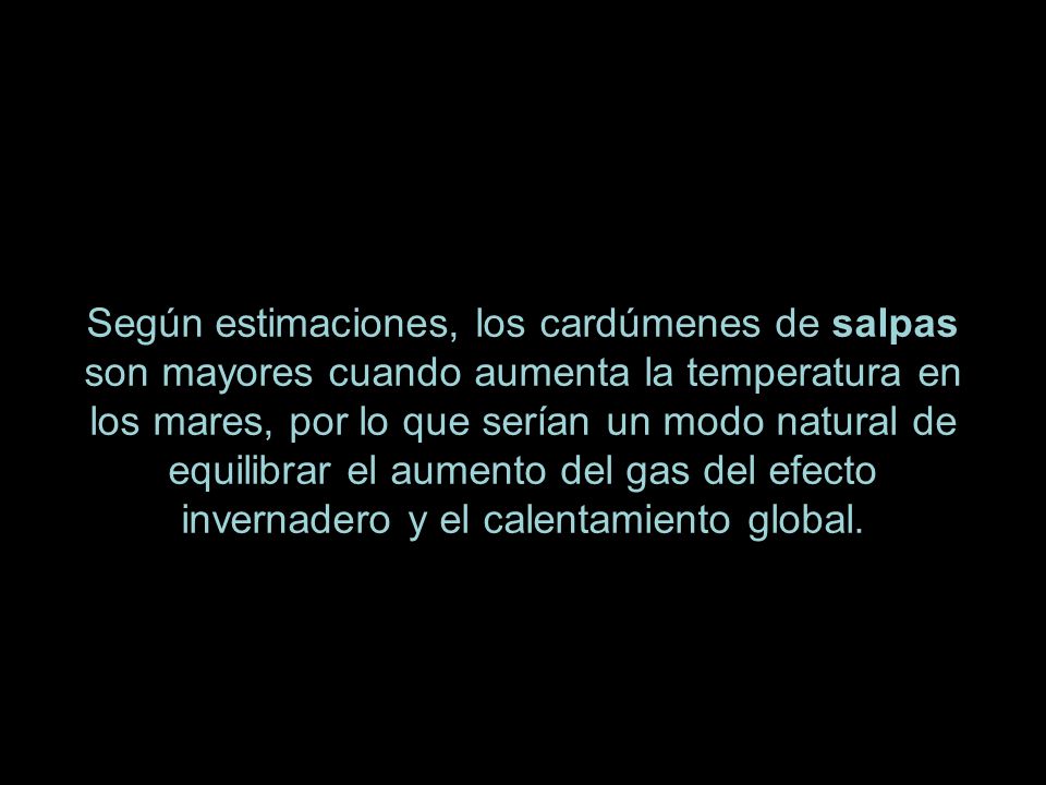 Según estimaciones, los cardúmenes de salpas son mayores cuando aumenta la temperatura en los mares, por lo que serían un modo natural de equilibrar el aumento del gas del efecto invernadero y el calentamiento global.