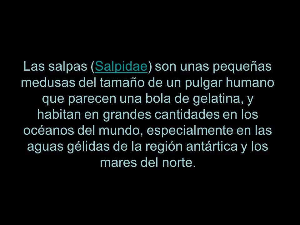 Las salpas (Salpidae) son unas pequeñas medusas del tamaño de un pulgar humano que parecen una bola de gelatina, y habitan en grandes cantidades en los océanos del mundo, especialmente en las aguas gélidas de la región antártica y los mares del norte.