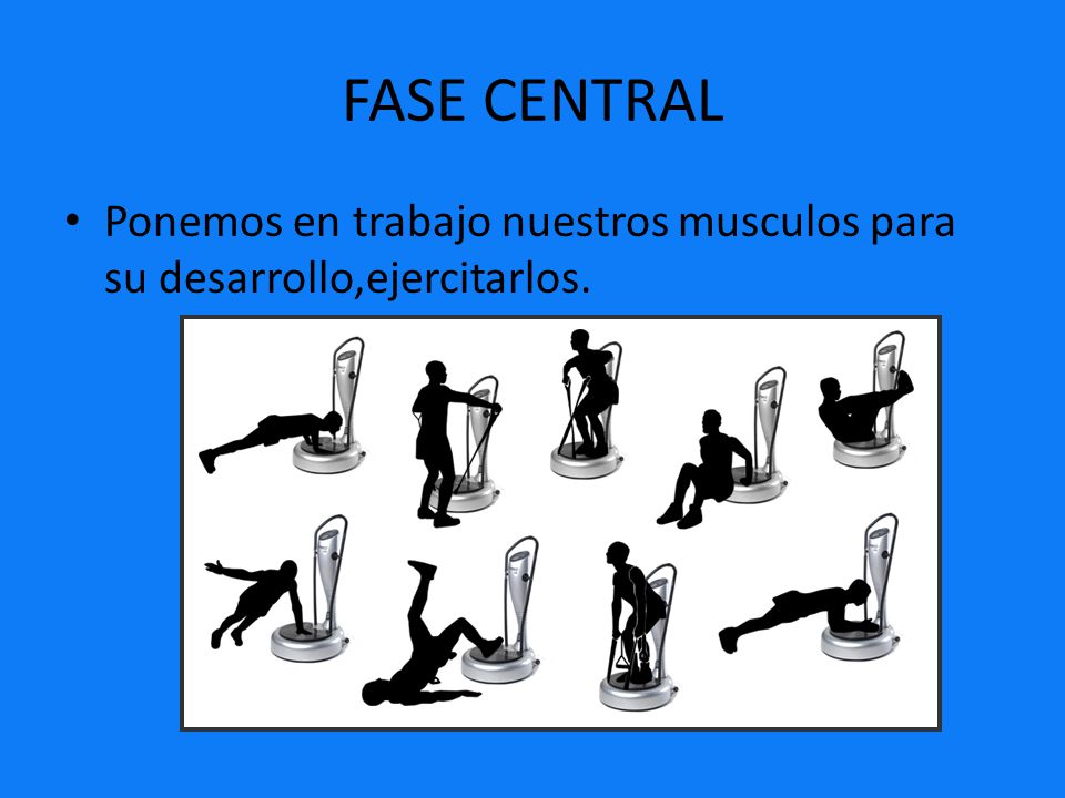FASE CENTRAL Ponemos en trabajo nuestros musculos para su desarrollo,ejercitarlos.