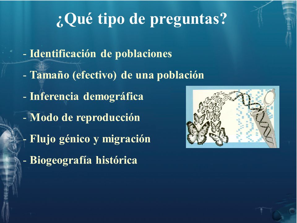 ¿Qué tipo de preguntas Identificación de poblaciones