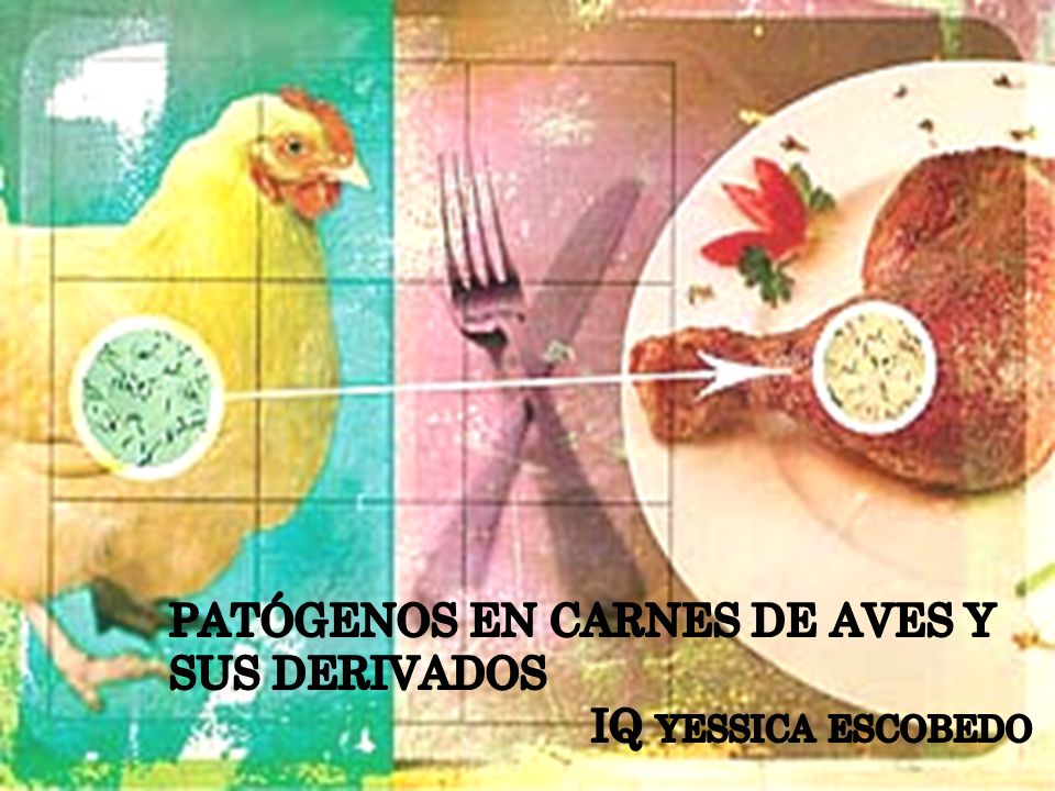 PATÓGENOS EN CARNES DE AVES Y SUS DERIVADOS IQ yessica escobedo