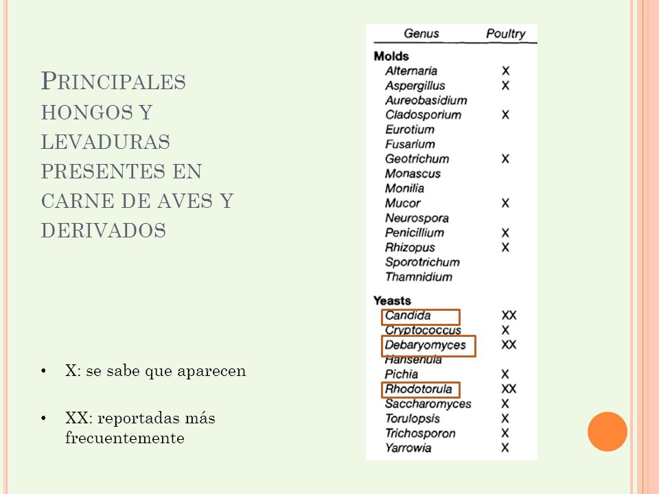 Principales hongos y levaduras presentes en carne de aves y derivados
