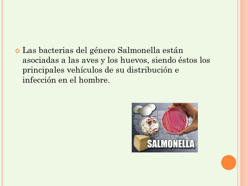 Las bacterias del género Salmonella están asociadas a las aves y los huevos, siendo éstos los principales vehículos de su distribución e infección en el hombre.