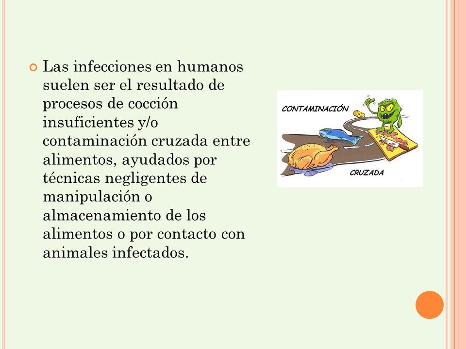 Las infecciones en humanos suelen ser el resultado de procesos de cocción insuficientes y/o contaminación cruzada entre alimentos, ayudados por técnicas negligentes de manipulación o almacenamiento de los alimentos o por contacto con animales infectados.