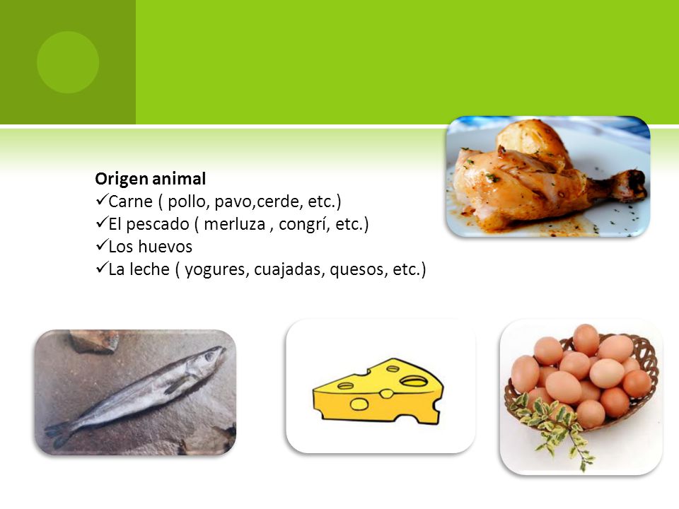 Origen animal Carne ( pollo, pavo,cerde, etc.) El pescado ( merluza , congrí, etc.) Los huevos.