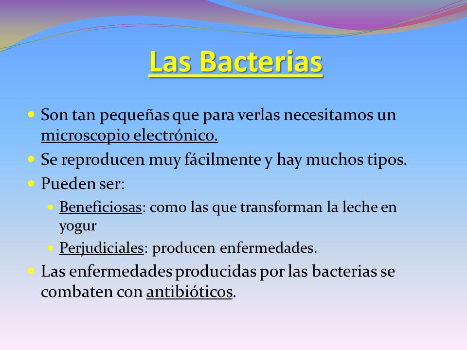 Las Bacterias Son tan pequeñas que para verlas necesitamos un microscopio electrónico. Se reproducen muy fácilmente y hay muchos tipos.