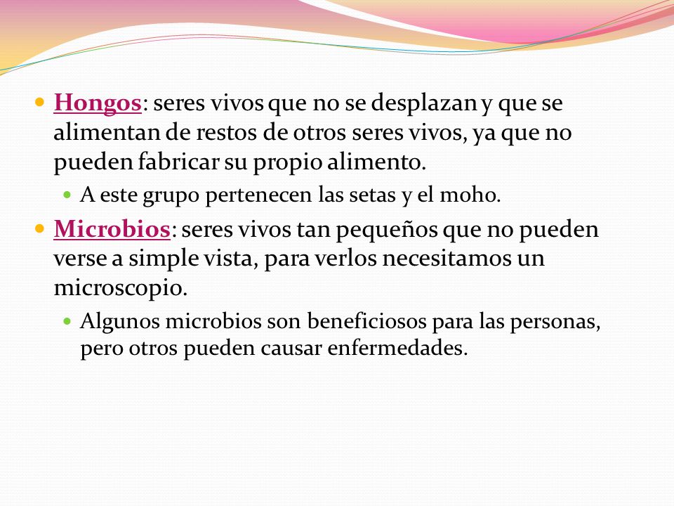 Hongos: seres vivos que no se desplazan y que se alimentan de restos de otros seres vivos, ya que no pueden fabricar su propio alimento.