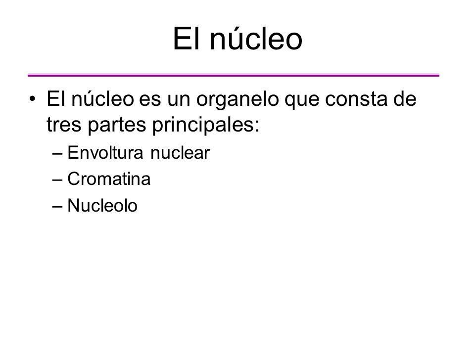 El núcleo El núcleo es un organelo que consta de tres partes principales: Envoltura nuclear. Cromatina.