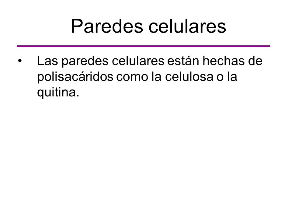 Paredes celulares Las paredes celulares están hechas de polisacáridos como la celulosa o la quitina.