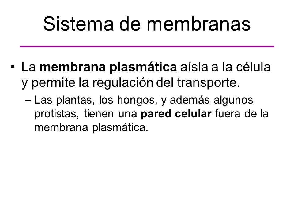 Sistema de membranas La membrana plasmática aísla a la célula y permite la regulación del transporte.