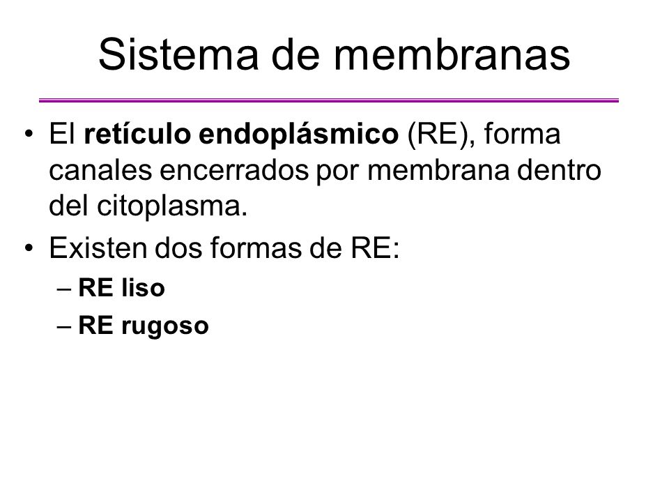 Sistema de membranas El retículo endoplásmico (RE), forma canales encerrados por membrana dentro del citoplasma.