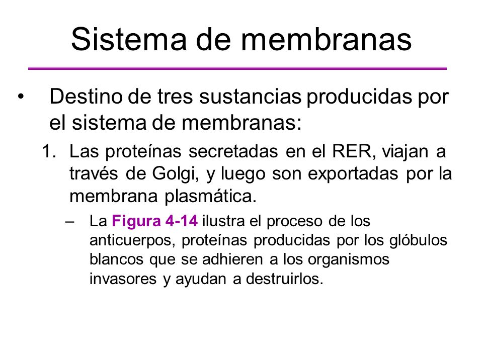 Sistema de membranas Destino de tres sustancias producidas por el sistema de membranas:
