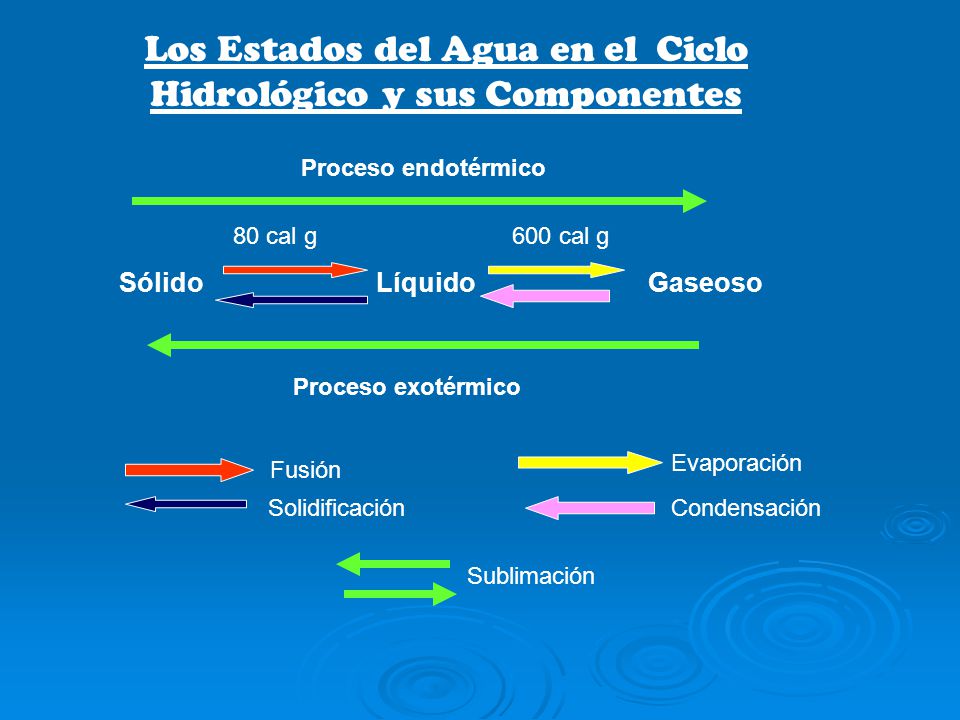 Los Estados del Agua en el Ciclo Hidrológico y sus Componentes