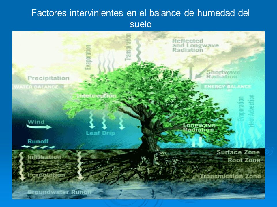 Factores intervinientes en el balance de humedad del suelo