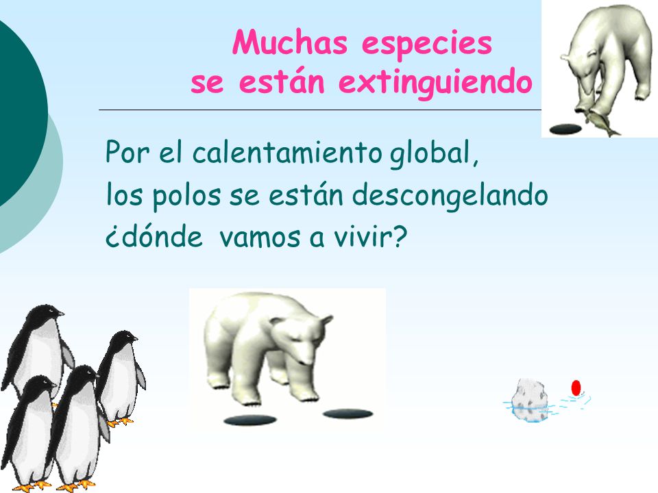 Muchas especies se están extinguiendo
