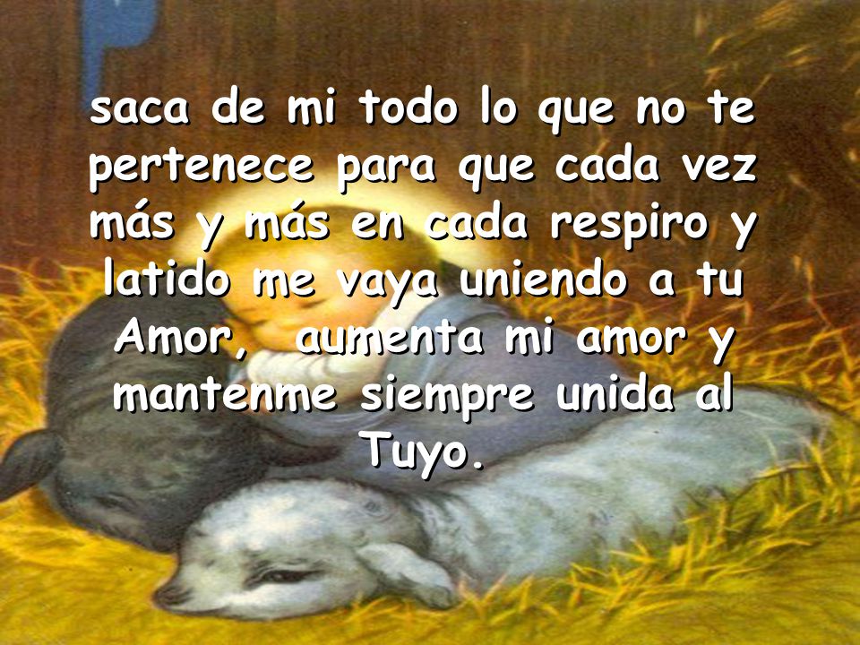saca de mi todo lo que no te pertenece para que cada vez más y más en cada respiro y latido me vaya uniendo a tu Amor, aumenta mi amor y mantenme siempre unida al Tuyo.