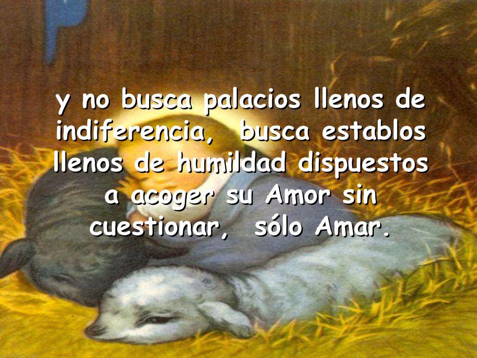 y no busca palacios llenos de indiferencia, busca establos llenos de humildad dispuestos a acoger su Amor sin cuestionar, sólo Amar.