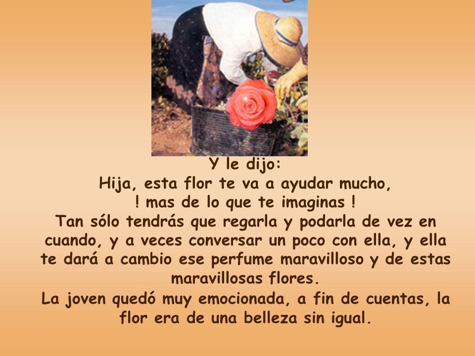 Hija, esta flor te va a ayudar mucho, ! mas de lo que te imaginas !