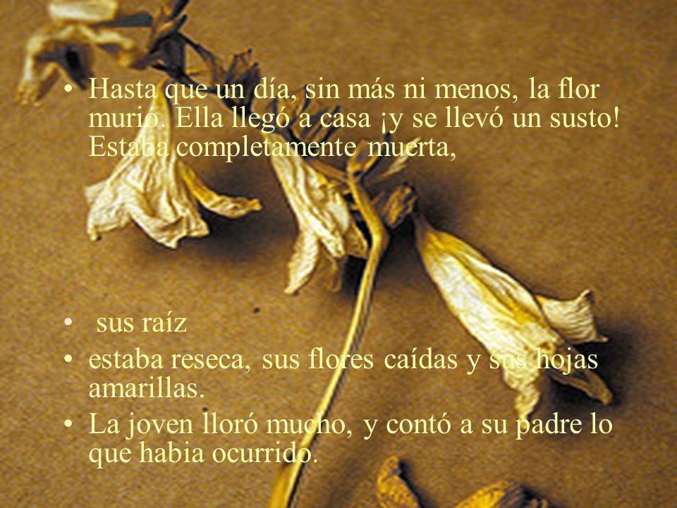 Hasta que un día, sin más ni menos, la flor murió
