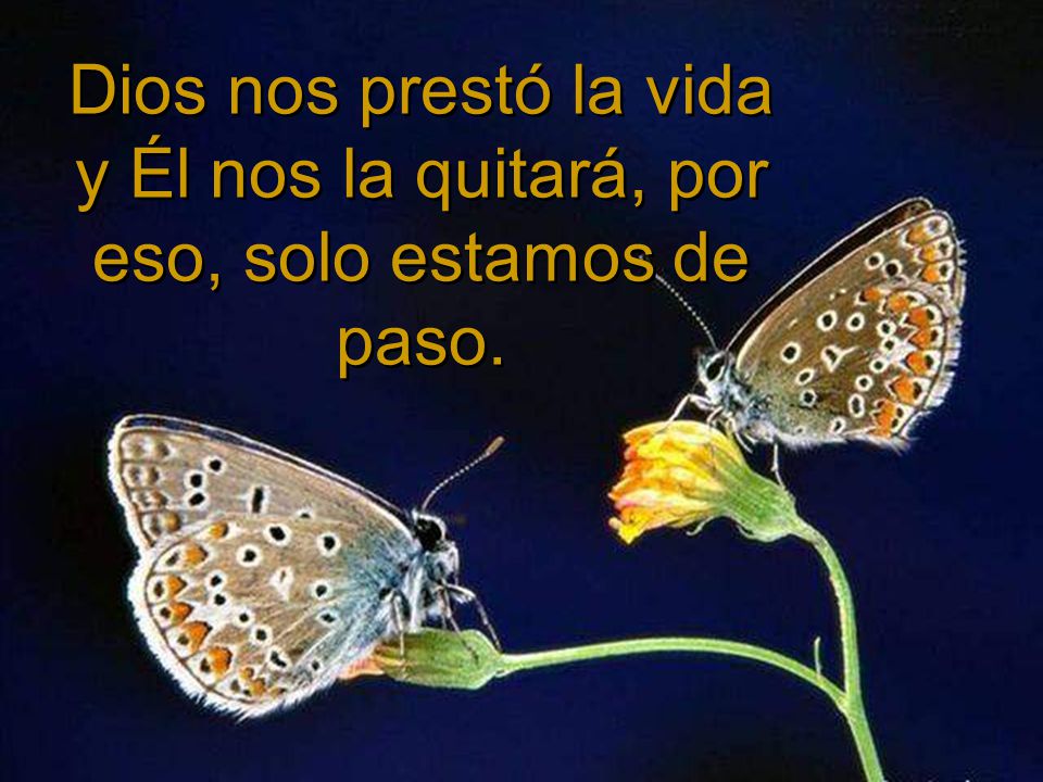 Dios nos prestó la vida y Él nos la quitará, por eso, solo estamos de paso.
