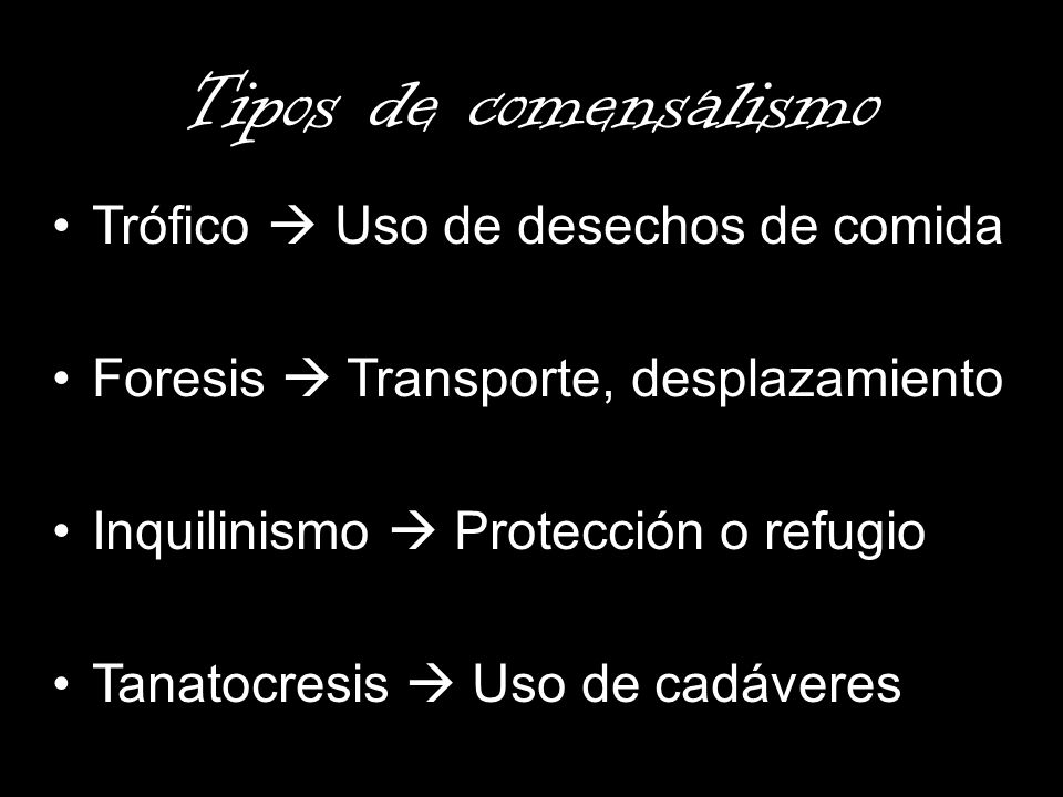 Tipos de comensalismo Trófico  Uso de desechos de comida